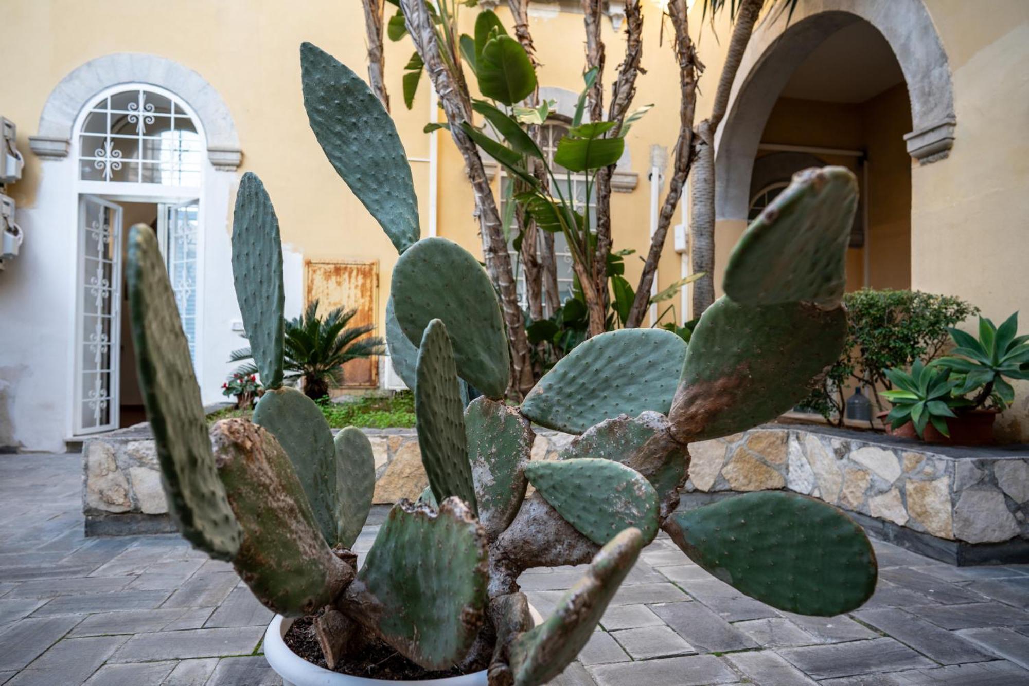 Casa Orchidea D'Oro Villa Syracuse Eksteriør bilde